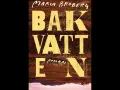 Maria Brobergs bok "Bakvatten" är en roman med en suggestiv bild av ett landskap.