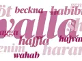 Ord som "walla", "habibi" och "chagga" i olika rosa nyanser. En visuell representation av slang språk.