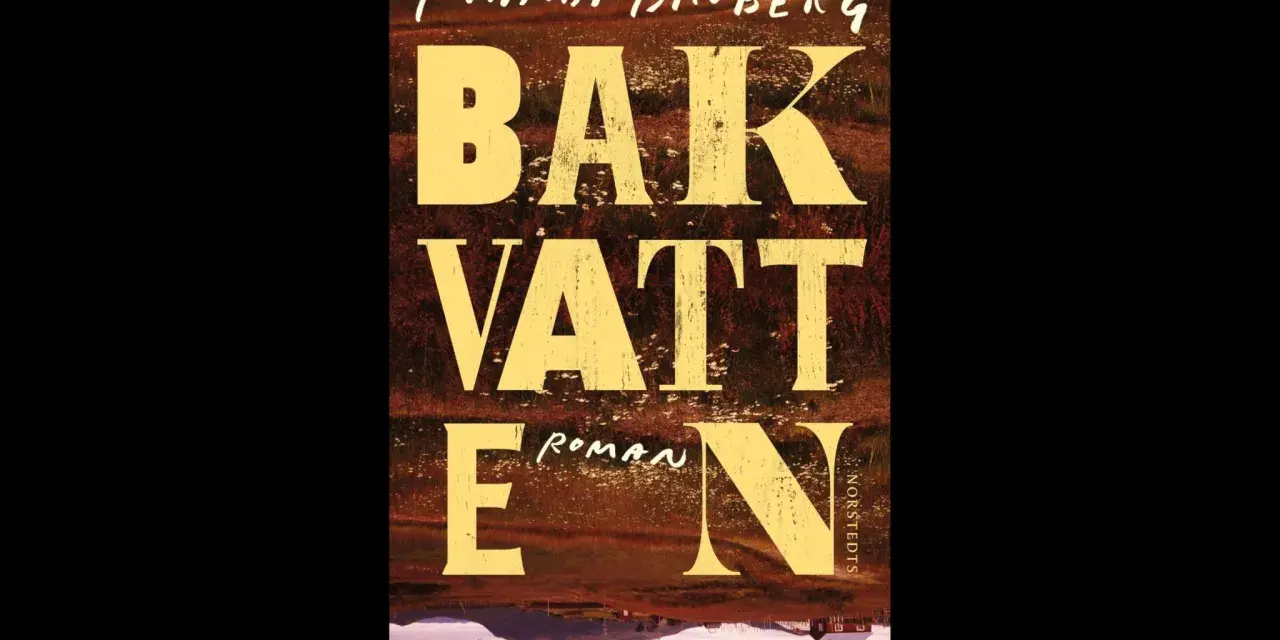 Maria Brobergs bok "Bakvatten" är en roman med en suggestiv bild av ett landskap.