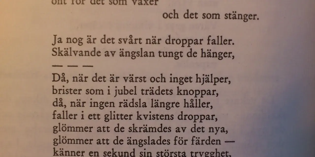 Texten beskriver hur det gör ont när knoppar brister, men också hur det kan vara svårt när droppar faller. Det är en dikt om livets övergångar.