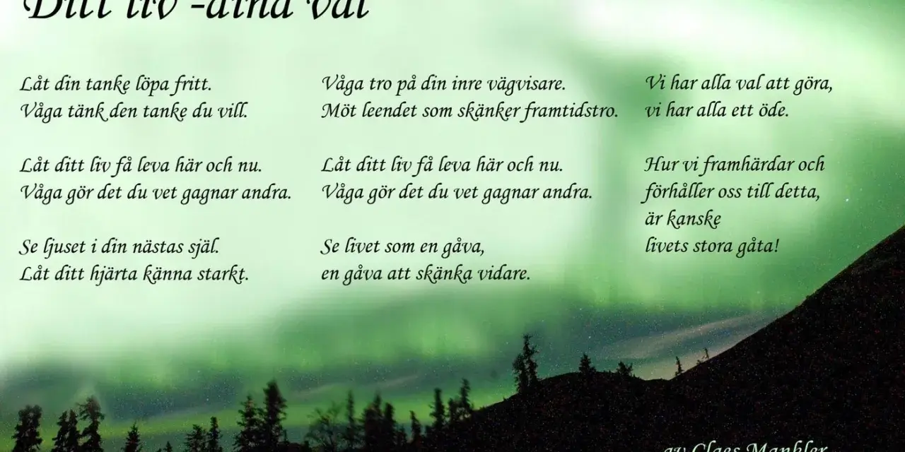 Dikter om livets resa med norrsken som bakgrund. Texten uppmanar till fria tankar, att leva i nuet och se livet som en gåva.