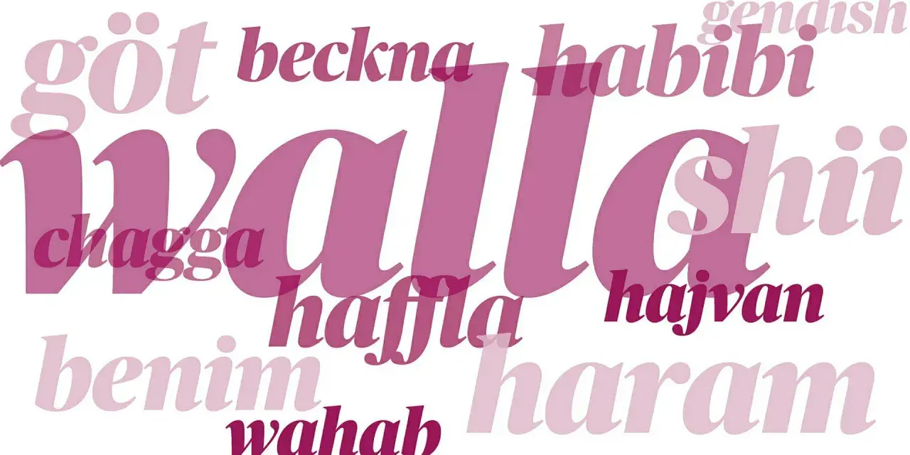 Ord som "walla", "habibi" och "chagga" i olika rosa nyanser. En visuell representation av slang språk.