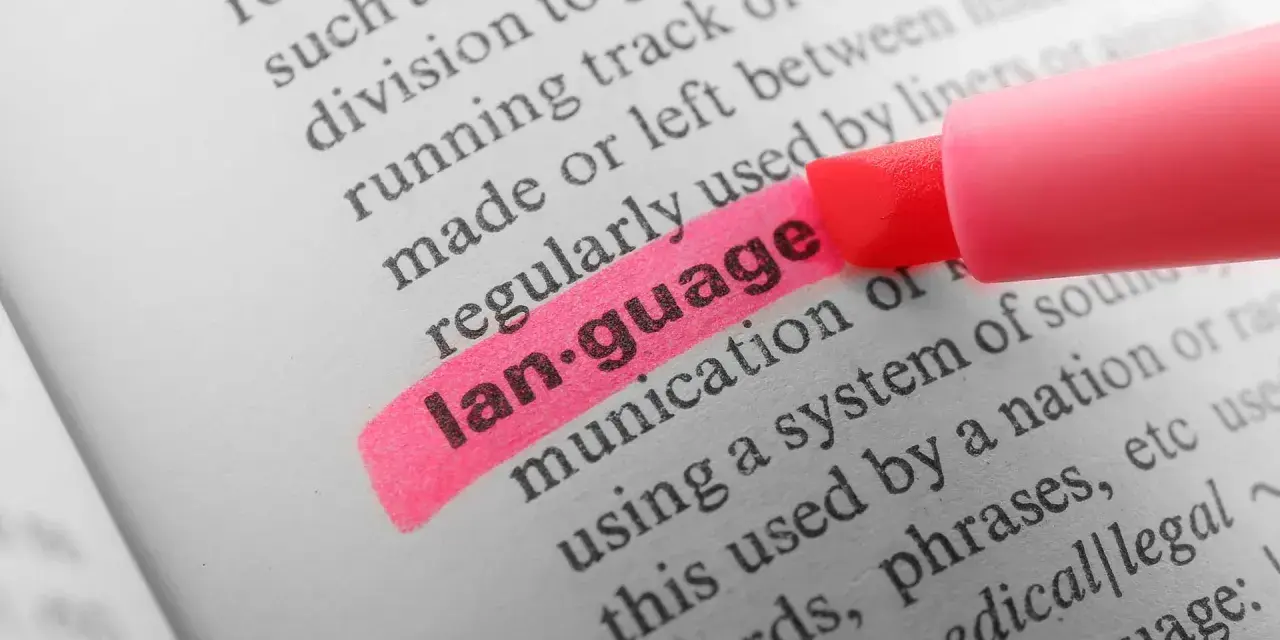 En rosa överstrykningspenna markerar ordet "language" i en ordbok. Ett av retorikens verktyg är att förstå språket.
