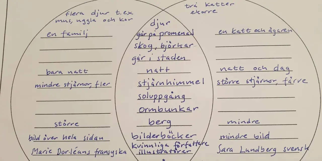 En jämförelse av "En nattpromenad" och "Kattpromenaden" med fokus på ordklasser engelska.