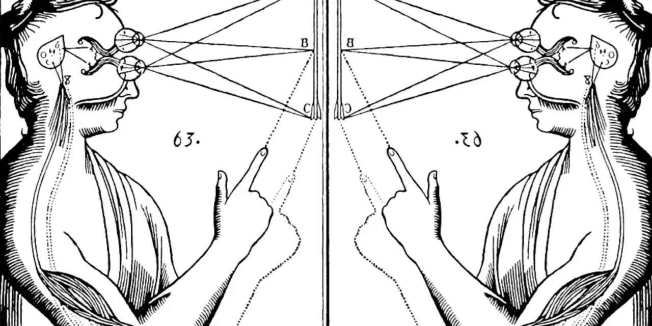 Två spegelvända illustrationer av ögonens anatomi och hur de uppfattar ljus, en visuell representation av dualism filosofi.