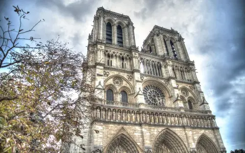 Notre Dame i Paris, ett mästerverk av romansk arkitektur, reser sig mot en dramatisk himmel. Trädgrenar med höstlöv ramar in den storslagna fasaden.