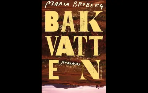 Maria Brobergs bok "Bakvatten" är en roman med en suggestiv bild av ett landskap.
