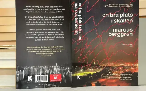 En bokklassiker: "En bra plats i skallen" av Marcus Berggren. En uppväxtskröna om en ung man i en kranskommun.
