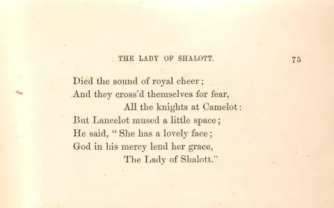 Text från en bok med en bunden form dikt om "The Lady of Shalott".
