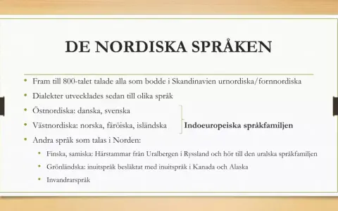 Bilden visar en presentation om de nordiska språken, som tillhör den indoeuropeiska språkfamiljen. Den beskriver hur urnordiska utvecklades till dagens skandinaviska språk.