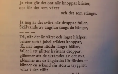 Texten beskriver hur det gör ont när knoppar brister, men också hur det kan vara svårt när droppar faller. Det är en dikt om livets övergångar.