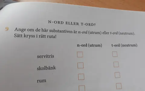 En skoluppgift där elever ska avgöra om substantiv som "servitris", "skolbänk", "rum" och "pappa" är n-ord eller t-ord. En övning i grammatik, inte en diktsamling synonym.