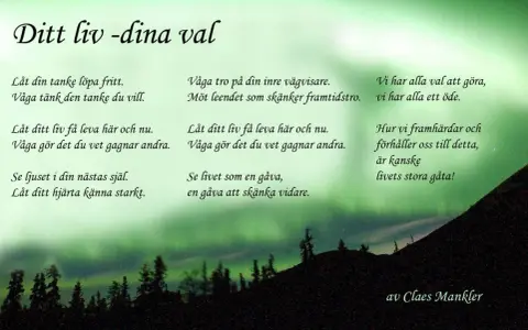 Dikter om livets resa med norrsken som bakgrund. Texten uppmanar till fria tankar, att leva i nuet och se livet som en gåva.