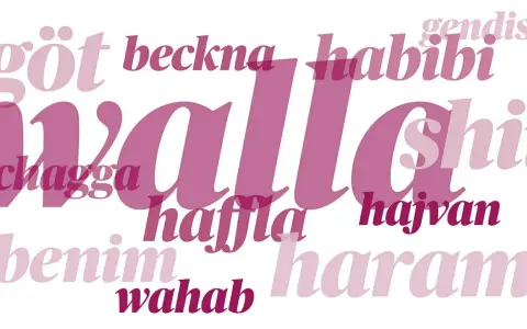 Ord som "walla", "habibi" och "chagga" i olika rosa nyanser. En visuell representation av slang språk.