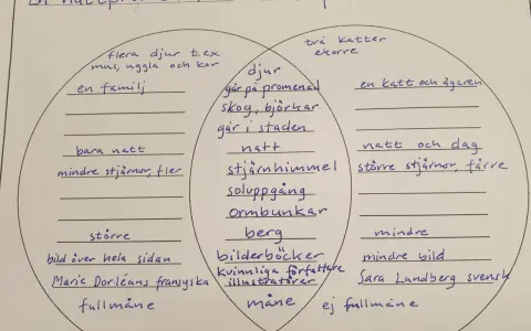 En jämförelse av "En nattpromenad" och "Kattpromenaden" med fokus på ordklasser engelska.
