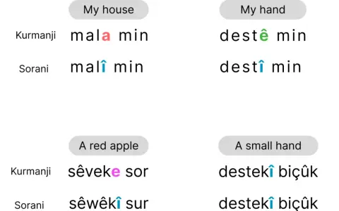 Jämförelse av kurdiska språk: "mitt hus", "min hand", "ett rött äpple" och "en liten hand" på Kurmanji och Sorani.