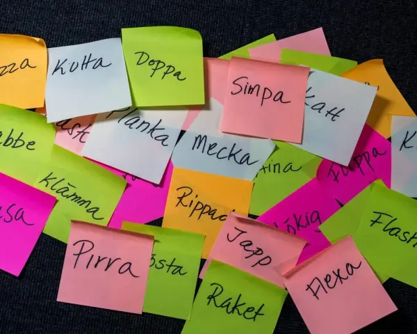 En hög med färgglada post-it-lappar med ord som "Bazza", "Kuta", "Doppa", "Simpa", "Planka", "Mecka", "Kran", "Knasa", "Klamma", "Rippac", "Japp", "Pirra", "Raket", "Flasha", "Flexa". Kanske en ordlek eller en lista över synonymer för uppehåll?