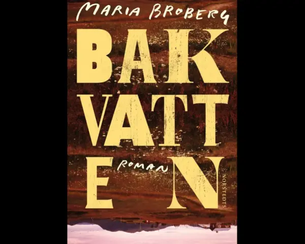 Maria Brobergs bok "Bakvatten" är en roman med en suggestiv bild av ett landskap.