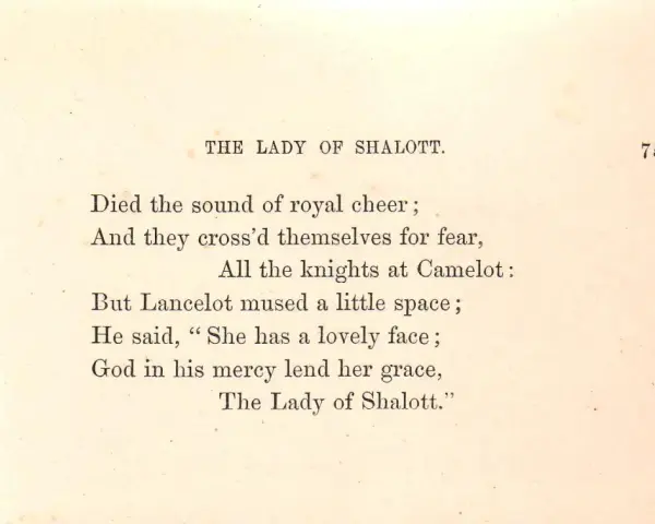 Text från en bok med en bunden form dikt om "The Lady of Shalott".