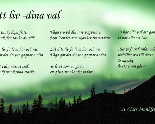 Dikter om livets resa med norrsken som bakgrund. Texten uppmanar till fria tankar, att leva i nuet och se livet som en gåva.