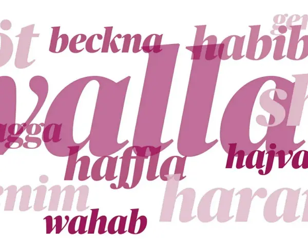Ord som "walla", "habibi" och "chagga" i olika rosa nyanser. En visuell representation av slang språk.
