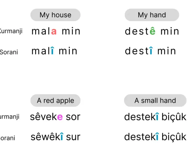 Jämförelse av kurdiska språk: "mitt hus", "min hand", "ett rött äpple" och "en liten hand" på Kurmanji och Sorani.