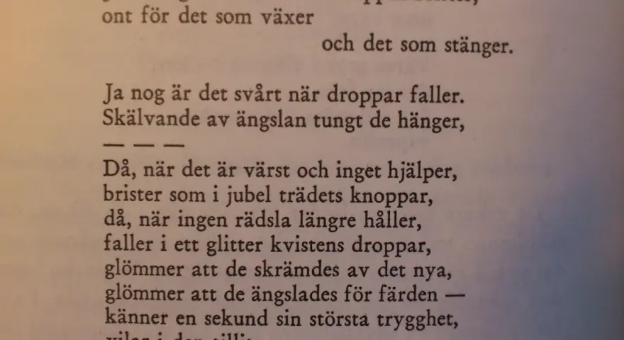 Texten beskriver hur det gör ont när knoppar brister, men också hur det kan vara svårt när droppar faller. Det är en dikt om livets övergångar.