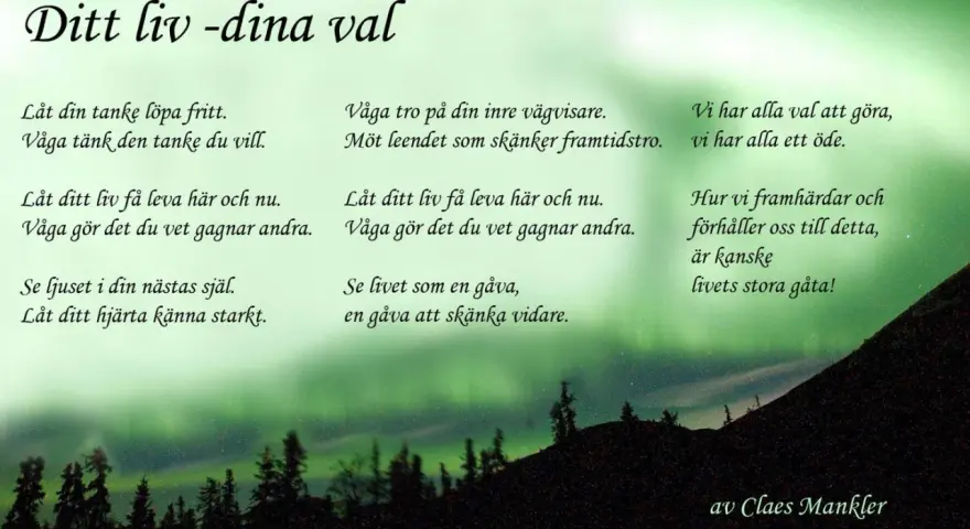 Dikter om livets resa med norrsken som bakgrund. Texten uppmanar till fria tankar, att leva i nuet och se livet som en gåva.