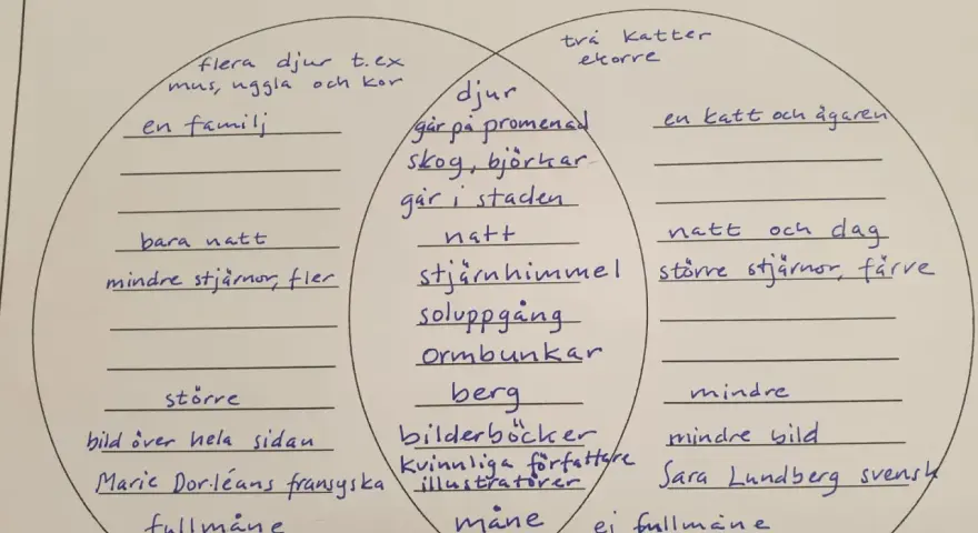 En jämförelse av "En nattpromenad" och "Kattpromenaden" med fokus på ordklasser engelska.