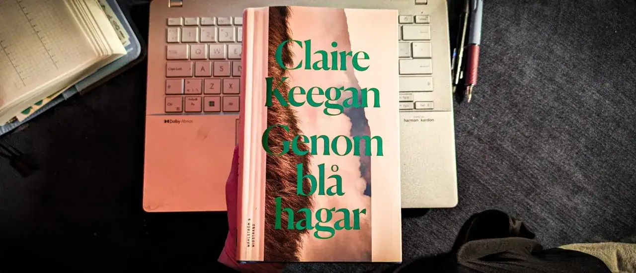 Claire Keegans bok 